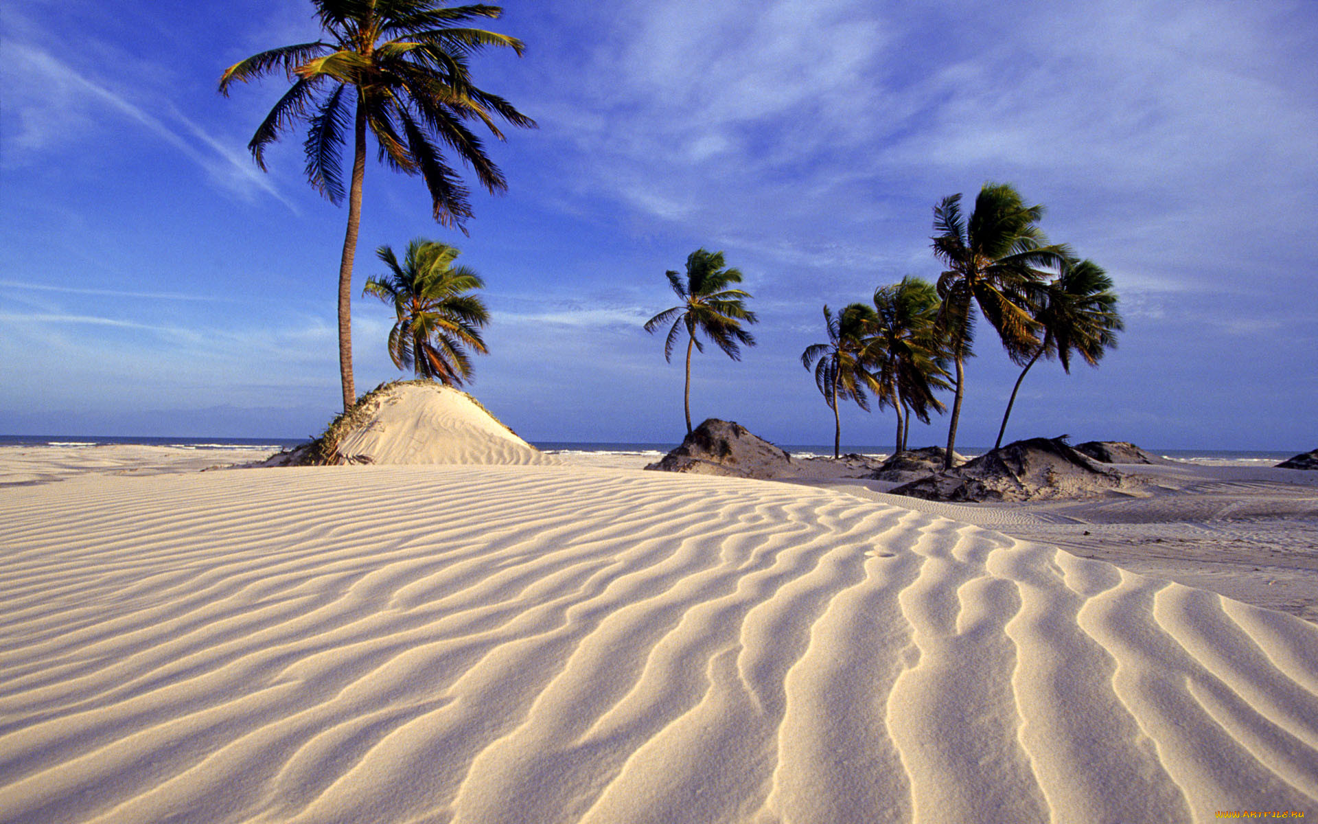 пляжи мира с белым песком